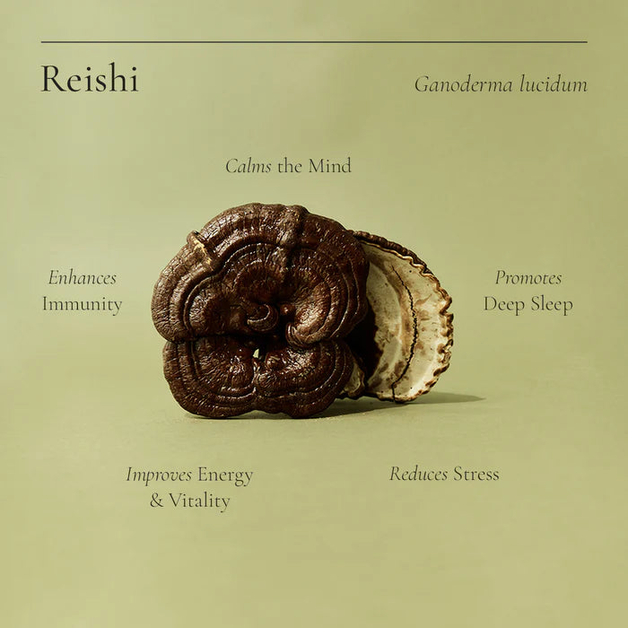 Reishi 100g Superfeast