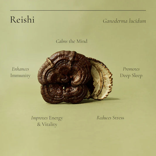 Reishi 100g Superfeast