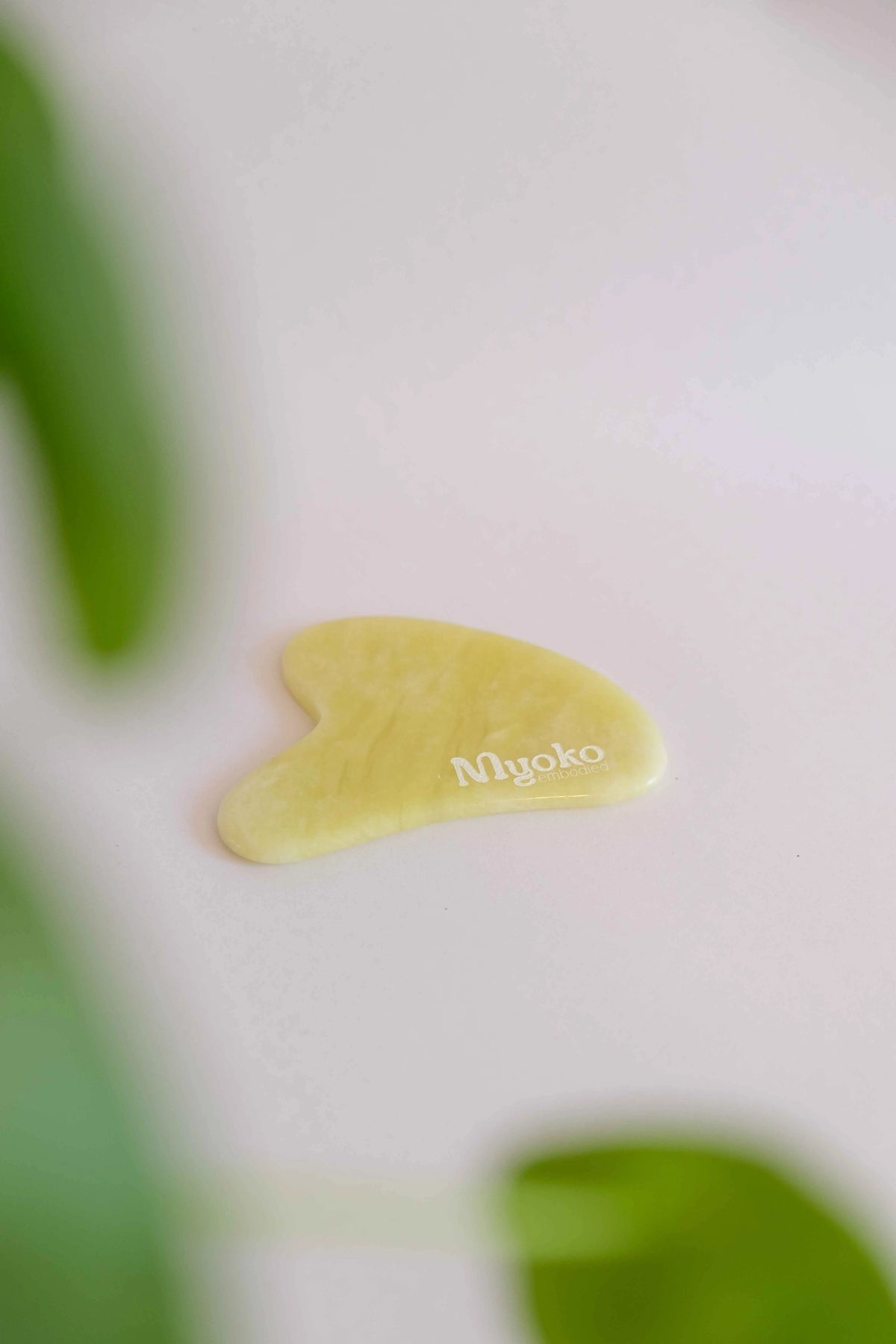 Gua Sha Myoko Embodied
