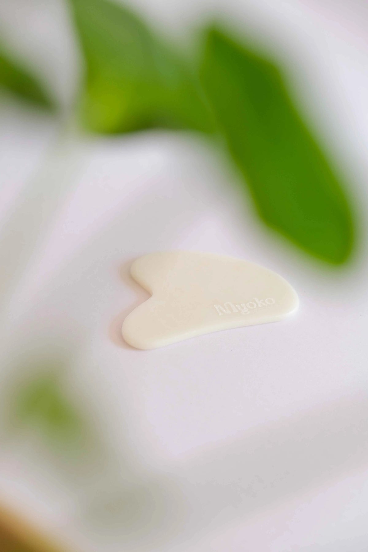 Gua Sha Myoko Embodied