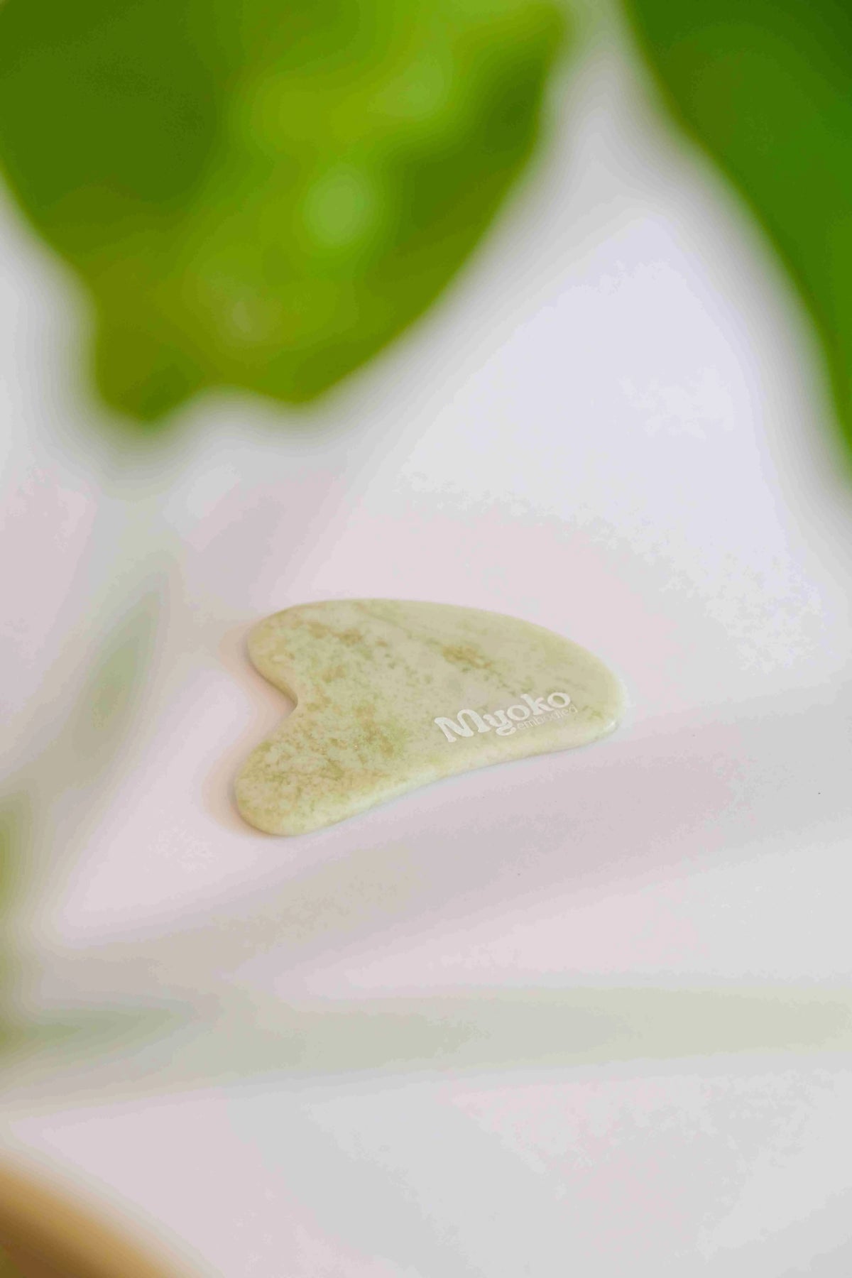 Gua Sha Myoko Embodied