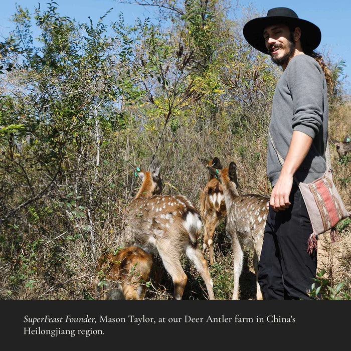 Deer Antler 70g Superfeast