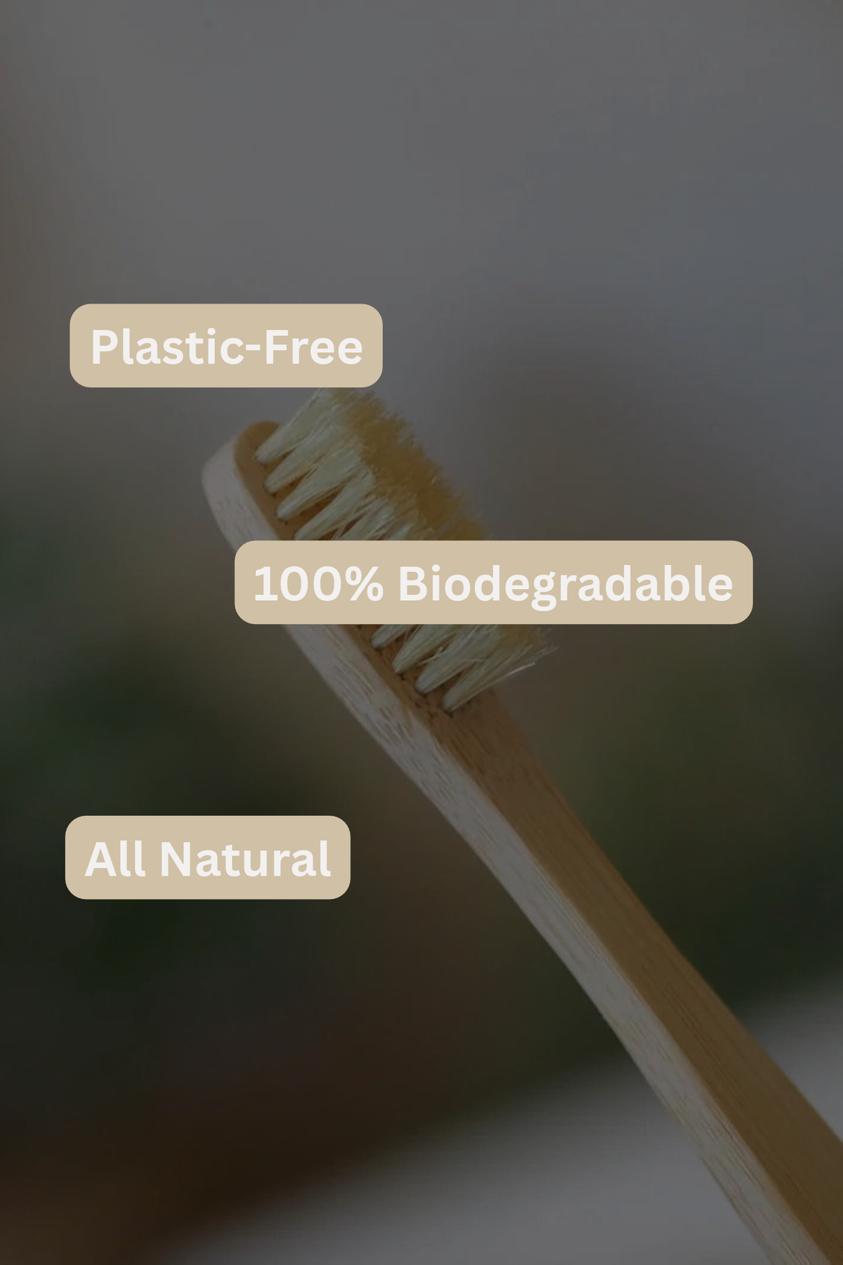 Natural Boar Hair Bamboo Tooth Brush Adult | ROBelle Farm
