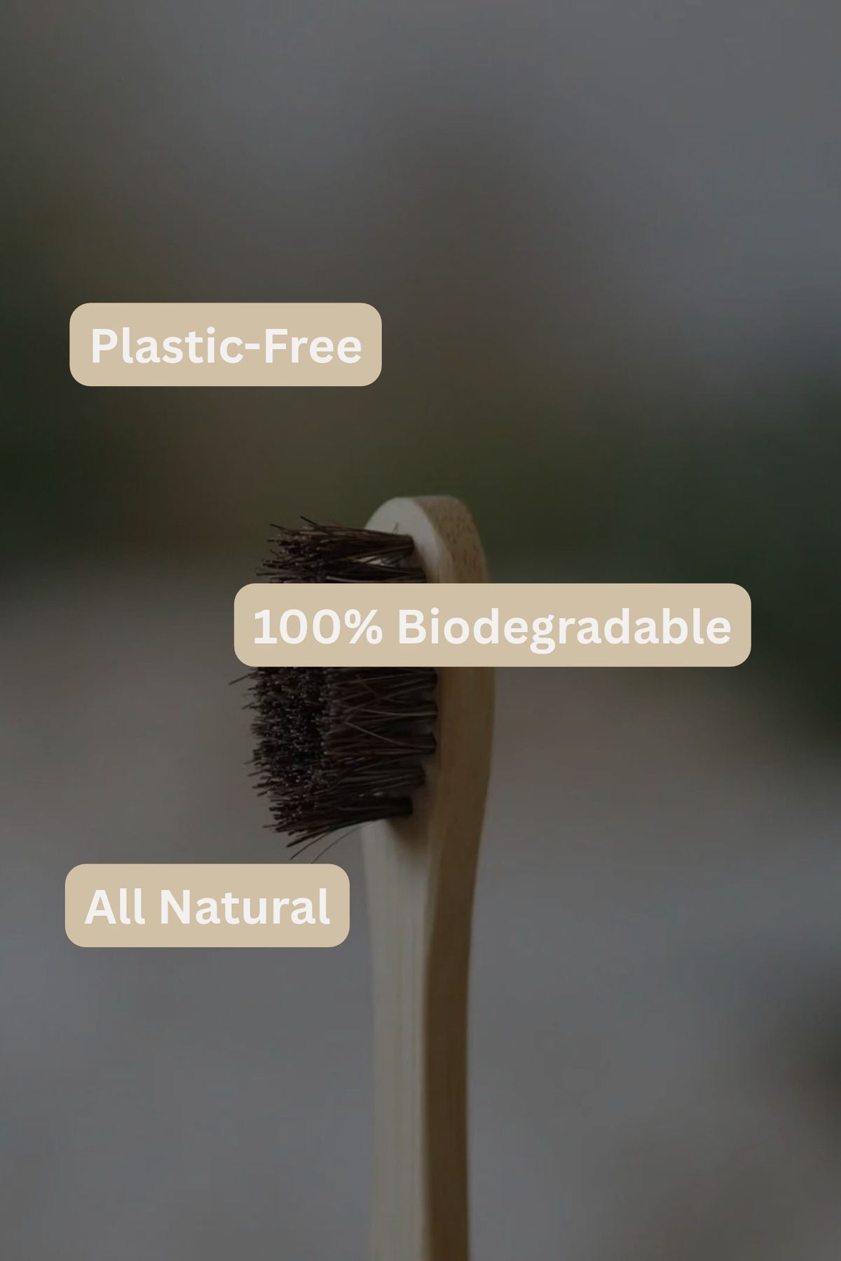 Natural Horse Hair Bamboo Tooth Brush Adult | ROBelle Farm