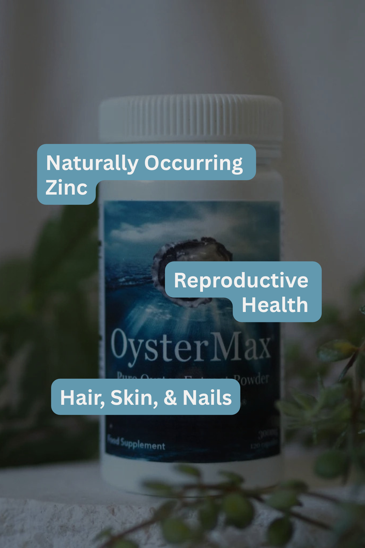 OysterMax Oyster Capsules | Marine Healthfoods