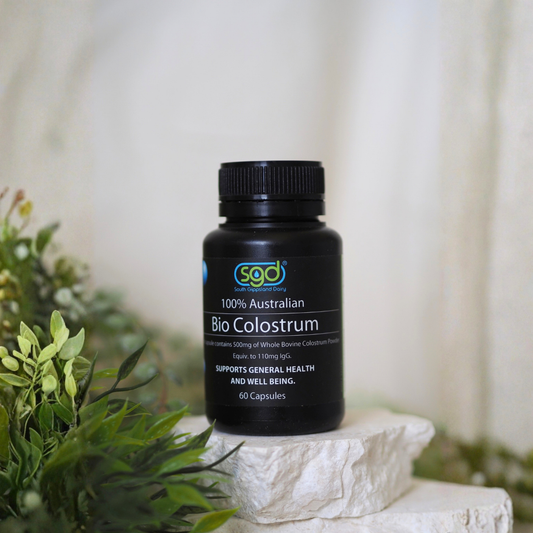 Colostrum Powder Capsules | South Gippsland Dairy