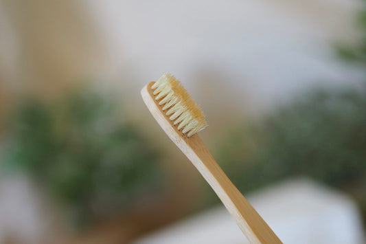 Natural Boar Hair Bamboo Tooth Brush Adult | ROBelle Farm