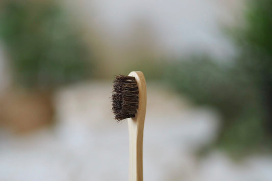 Natural Horse Hair Bamboo Tooth Brush Adult | ROBelle Farm